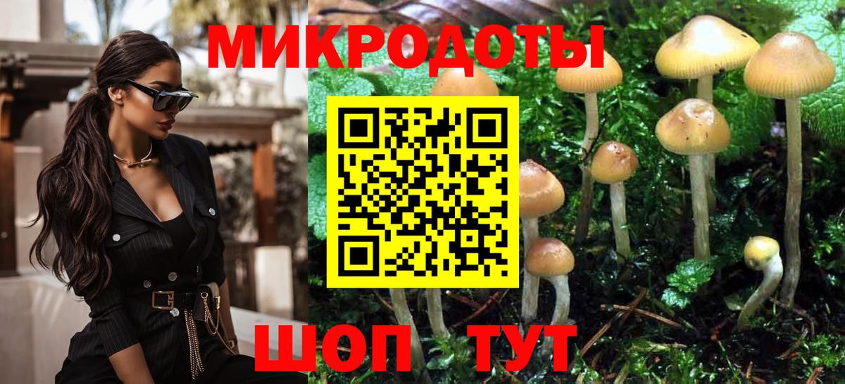 Галлюциногенные грибы Psilocybine cubensis Шатура