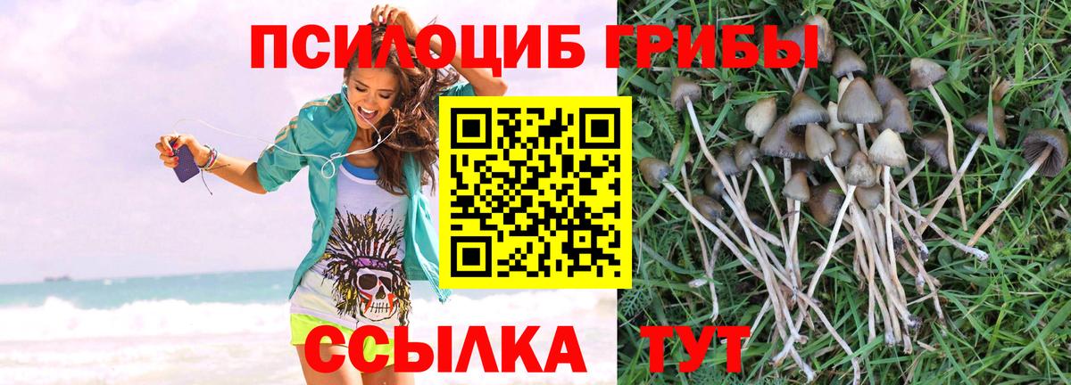 Псилоцибиновые грибы Psilocybine cubensis  Вход с VPN  Псилоцибиновые грибы ЛСД  Шатура 